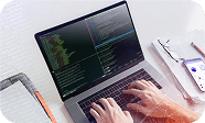 Custom Web Development